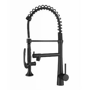 Single-Handle Pre-Rinse Spring Pulldown Sprayer Kitchen Faucet with Power Clean in Matte Black