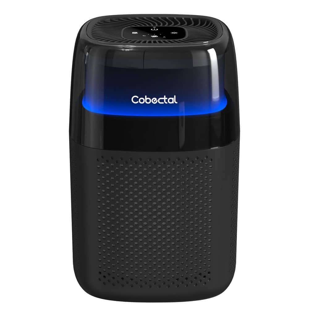 1600 sq.ft Air Purifier in Black with Sleep Mode, 3 Wind Speeds, 5 Level Light Control & Filter Reset price history on PriceWatchPro