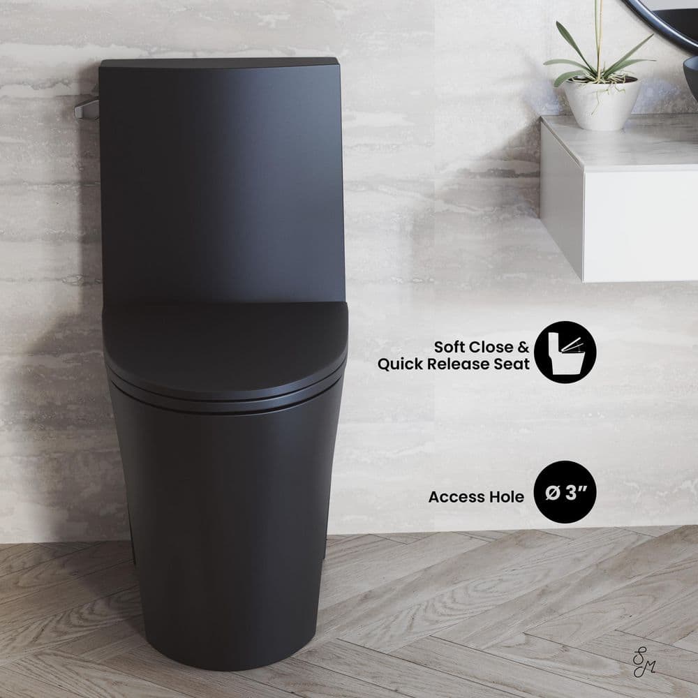 Matte Black High Efficiency One-Piece Elongated Toilet