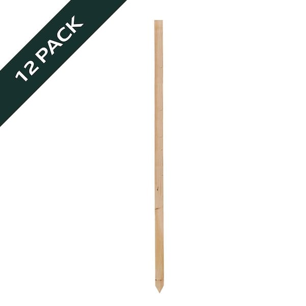 60 in. Wood Tomato Stake (12-Pack)