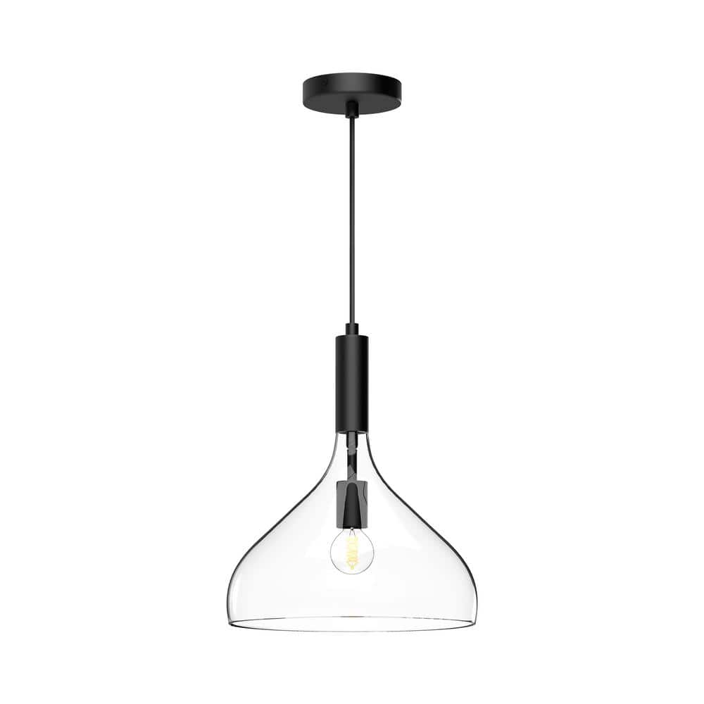 Belleview 12 in. 1 Light 60-Watt Clear Glass/Matte Black Pendant Light price history on PriceWatchPro