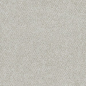 Evermore III - Enduring Beige - 65 Oz. SD Polyester Texture Installed Carpet