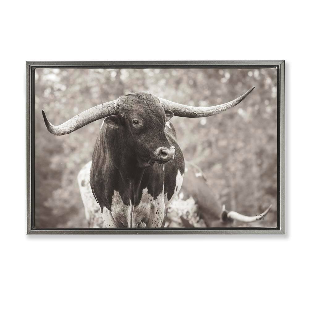 Longhorn's Gaze Photography by Nathan Larson Gray Floater Frame Animal Graphic Art Print 21 in. x 31 in. price history on PriceWatchPro