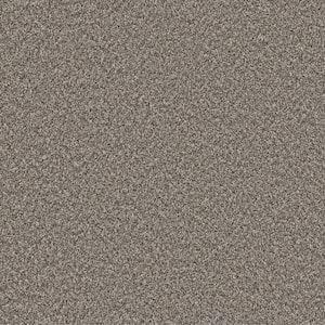 Piece Of Cake Wild Mushroom Beige 33 oz. Solution Dyed Polyester Texture Installed Carpet