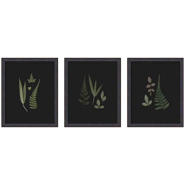 3 Piece Dark Botanical Leaf Study by Stephanie Klatt Nature Framed Art Print Set 22 in. x 57 in.