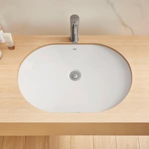 Essence 24 in. Undermount Bathroom Sink in Alpine White
