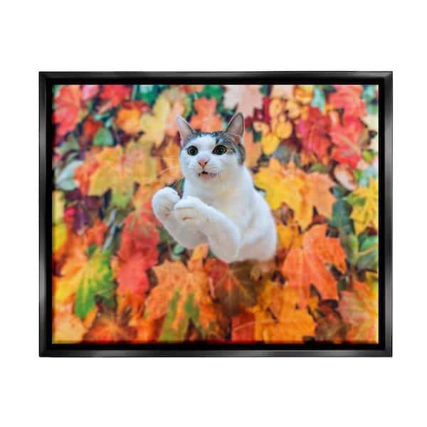 Stupell Industries Cat in Autumn Leaf Pile by Kazutoshi Ono 1-Piece Floater Frame Graphic Print Animal Poster Art Print 21 in. x 17 in.