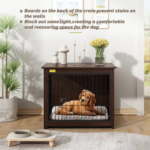Are Dog Crates Cruel are-dog-crates-cruel
