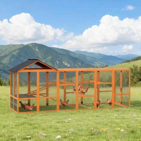 maocao hoom Wooden Chicken Coop for 6 - 10 Chickens DJ-Y-S66 - The maocao hoom Wooden Chicken Coop for 6 - 10 Chickens DJ-Y-S66 - The