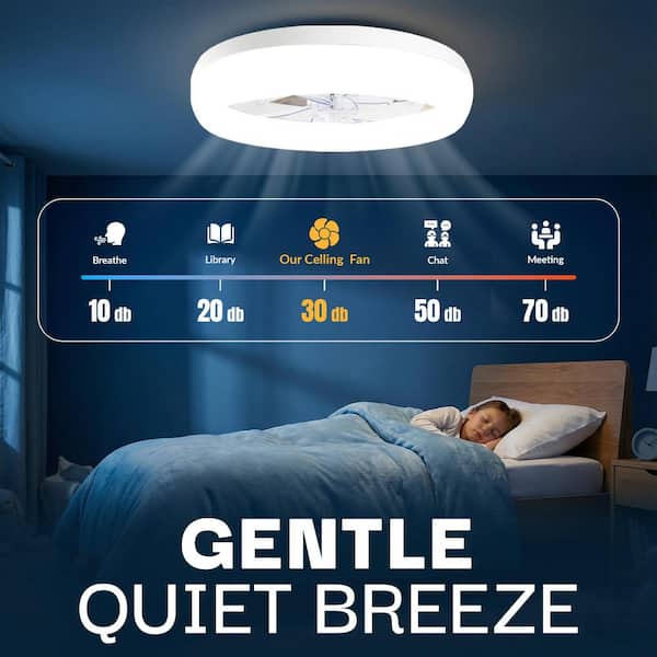 Bell + Howell CannonX 19.7 in. Dia. Indoor White Ceiling Fan 4700