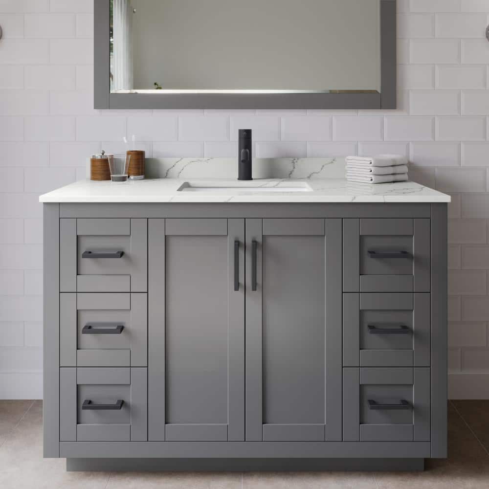 Miranda 48 in. W x 22 in. D x 33.75 in. H Single Bath Vanity in Dark Gray with Giotto Quartz Top price history on PriceWatchPro