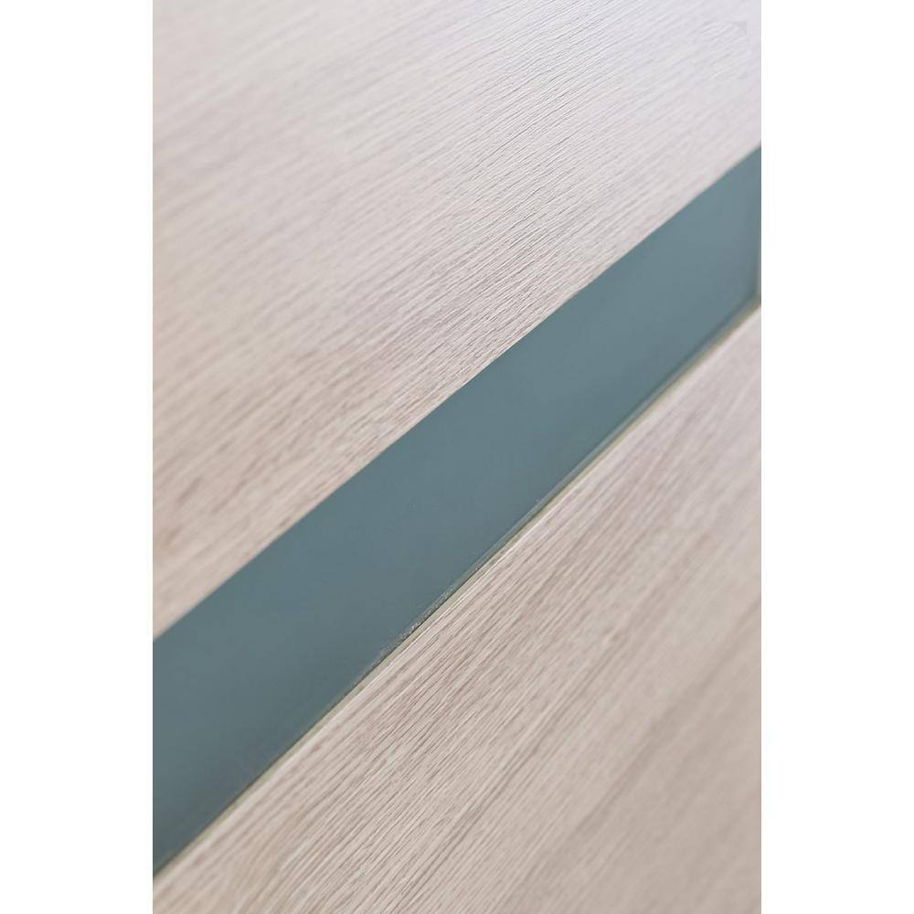 Leora Shambor Frosted Glass and Wood Composite Interior Door