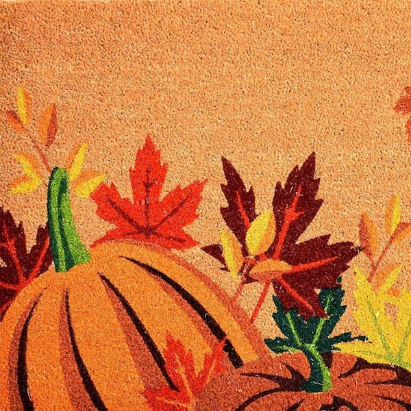 Multi-Colored 29 in. x 17 in. Coir Non-Slip Indoor / Outdoor Door Mat
