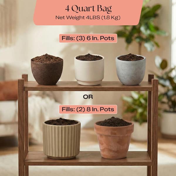 ROSY SOIL Organic 4 qt. Living Soil Succulent Potting Mix for Desert Plants  and Terrariums (1-Pack) CS4 - The Home Depot