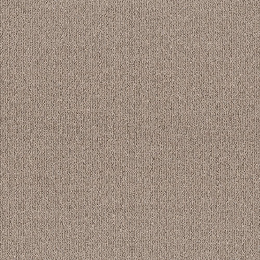 8 in. x 8 in. Loop Carpet Sample - Fresco Flow - Color Beach Hut price history on PriceWatchPro