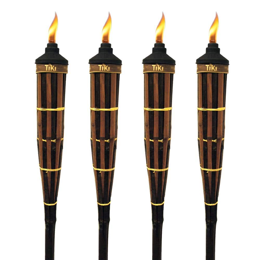 30 Carry Light Torch Fire On Stick Royalty-Free Images, Stock