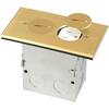 Floor Box Kit with Screw Caps, Electrical Box for Wood Sub-Flooring with 15 Amp TR Duplex Receptacle, Brass