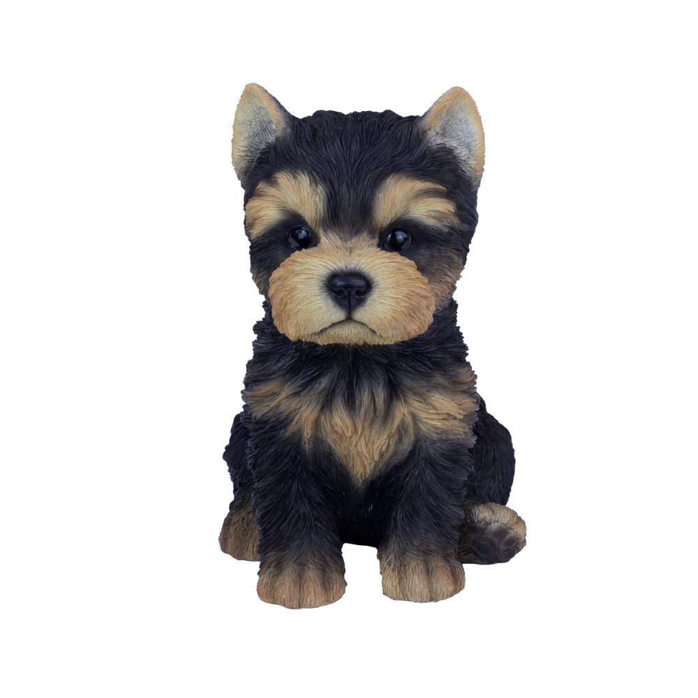 SoReal Brown Baby YorkTerrier