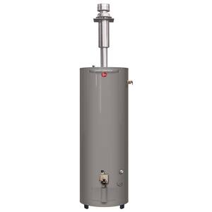 Performance Manufactured Housing 30 Gal. Tall 6 Year 30,000 BTU Convertible Natural Gas/LP Direct Vent Tank Water Heater