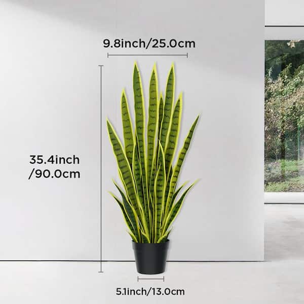 mini succulent plant 4-Plant Handmade Live Succulent Arrangement | Occasional Gift | Client  Business Gift main image 1