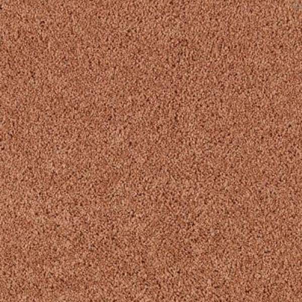 Lifeproof Carpet Sample - Barons Court I - Color Autumn Cider Twist 8 in. x 8 in.