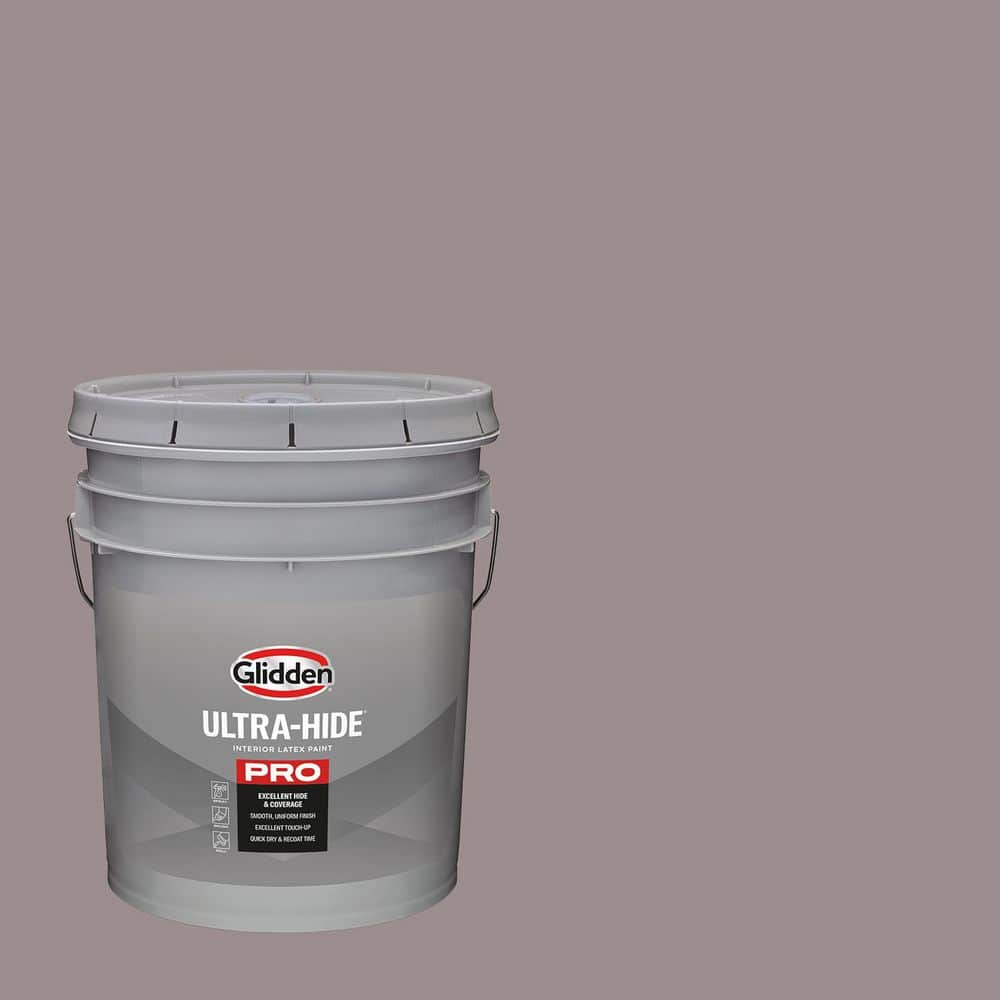 5 gal. PPG1014-5 Gray Violet Semi-Gloss Interior Paint price history on PriceWatchPro