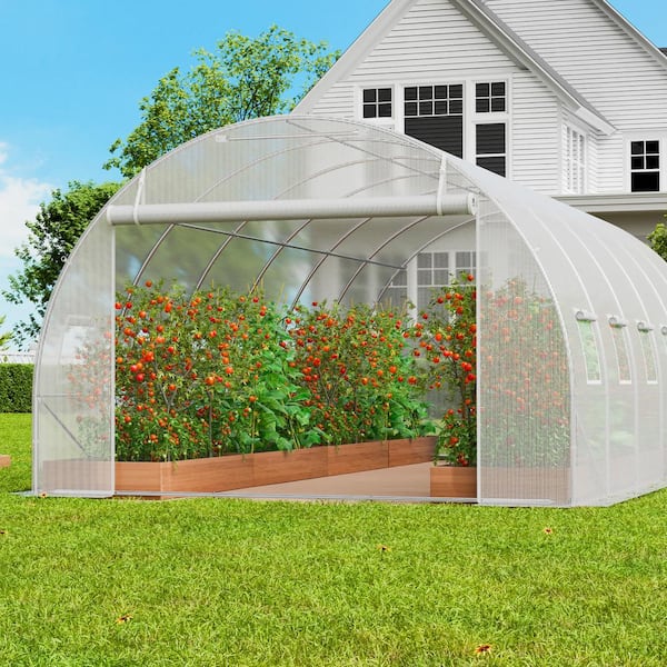 Walk-in Tunnel Greenhouse 19.4 x 9.7 x 6.5 ft. Hoop House Greenhouse Tunnel, with Galvanized Steel Frame, White PE Cover