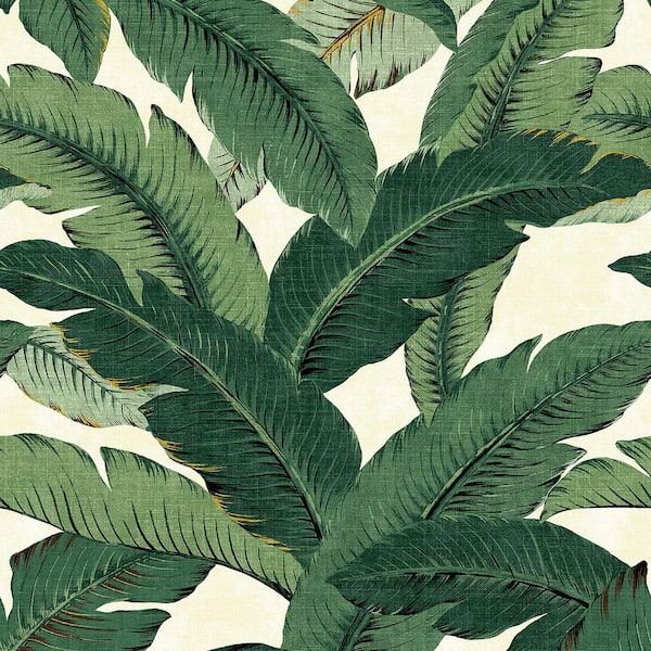 Tommy Bahama Swaying Palms Aloe Vinyl Peel and Stick Wallpaper Roll (Covers 30.75 sq. ft.)