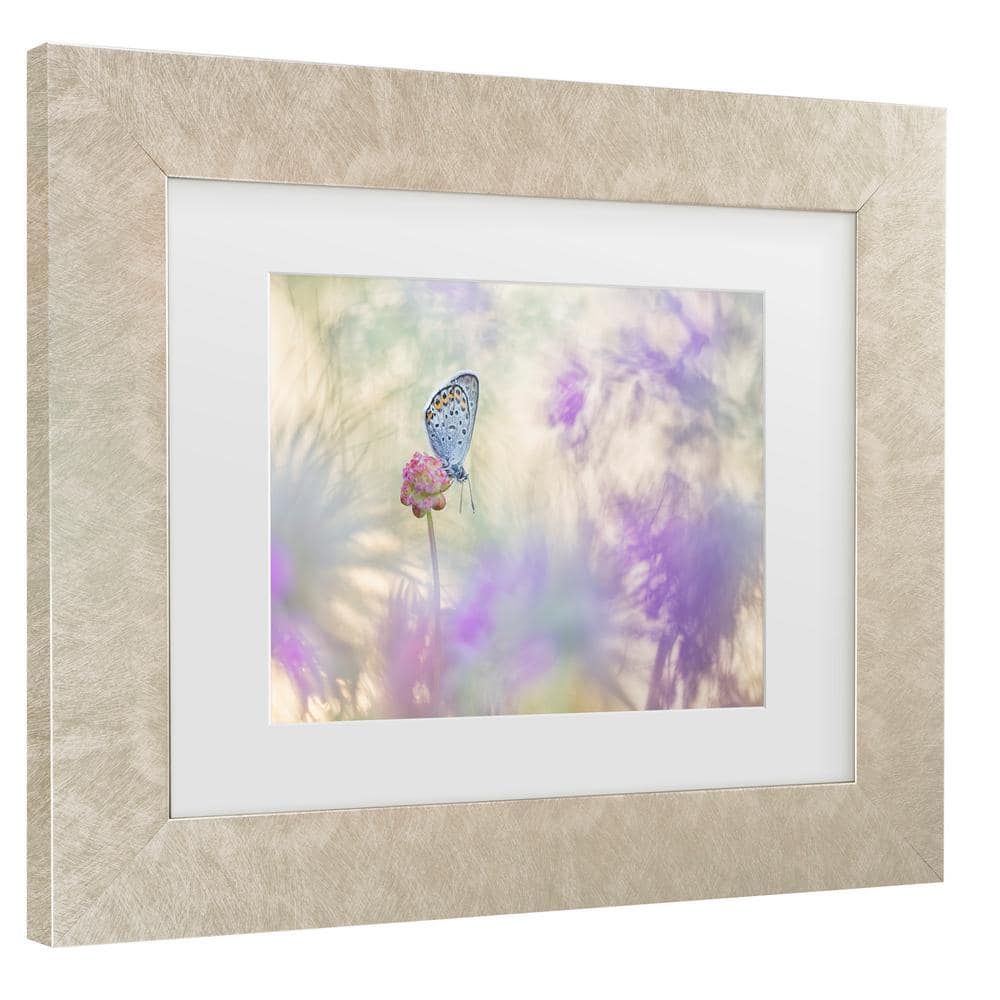 Henrik Spranz Butterfly on Pink Flower Framed Canvas Art