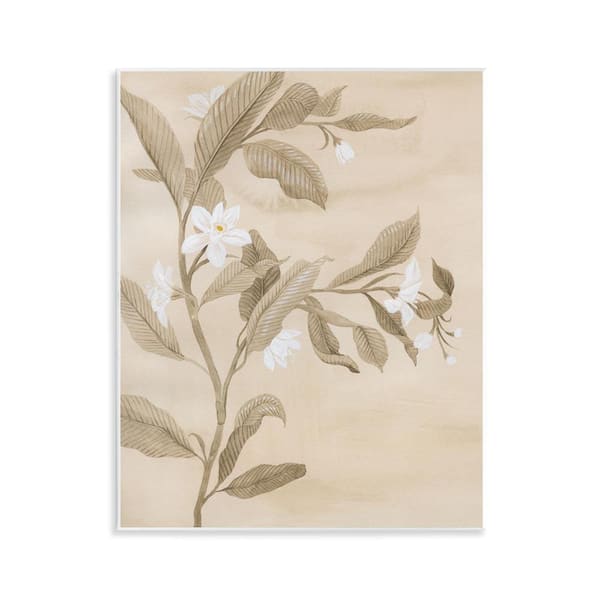 Stupell Industries Traditional White Daffodils by Grace Popp Unframed Nature Graphic Art Print 14 in. x 11 in.