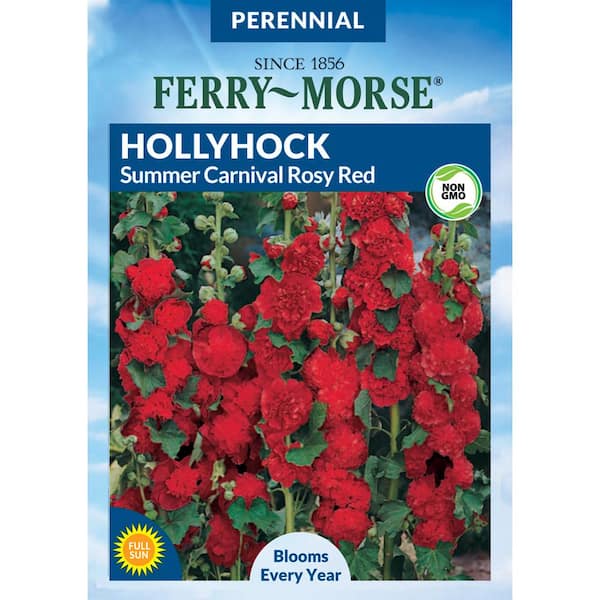 Ferry-Morse Hollyhock Summer Carnival Rosy Red Flower Seed