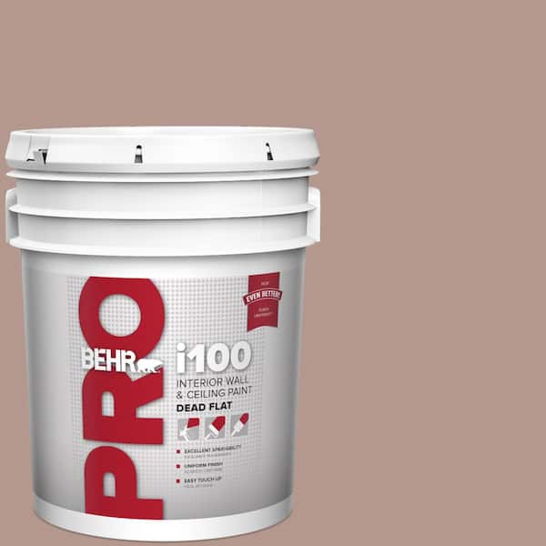 5 gal. #N160-4 Sonora Rose Dead Flat Interior Paint