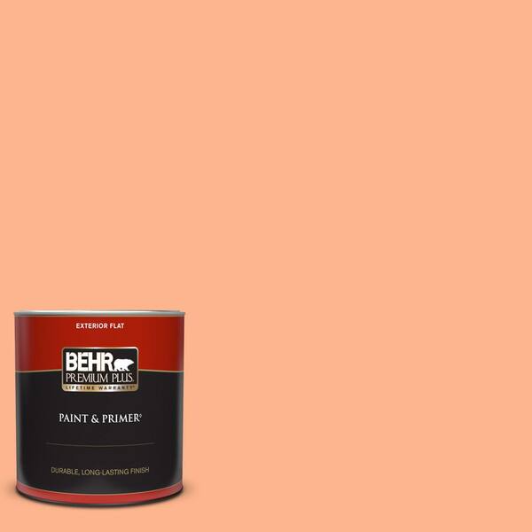 Orange Paint Colors - The Home Depot