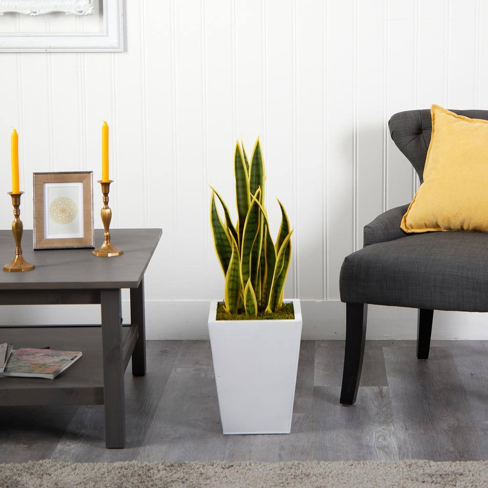 31-Inch Artificial Snake Plant in White Metal Planter
