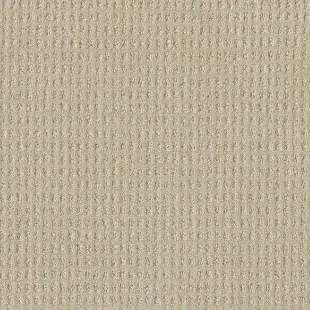 8 in. x 8 in. Pattern Carpet Sample - Amaryllis - Color Flamenco price history on PriceWatchPro