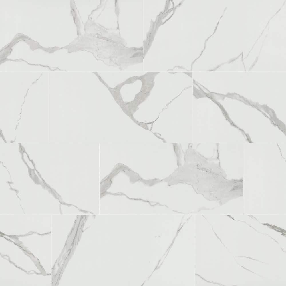 Ader Tegal 12 in. x 24 in. Polished Porcelain Marble Look Floor and Wall Tile (16 sq. ft./Case) price history on PriceWatchPro