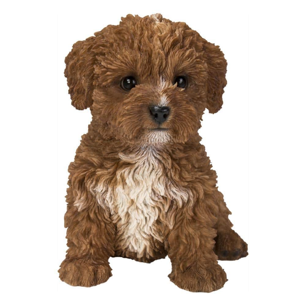 HI-LINE GIFT LTD. Baby Cavapoo Chocolate Statues