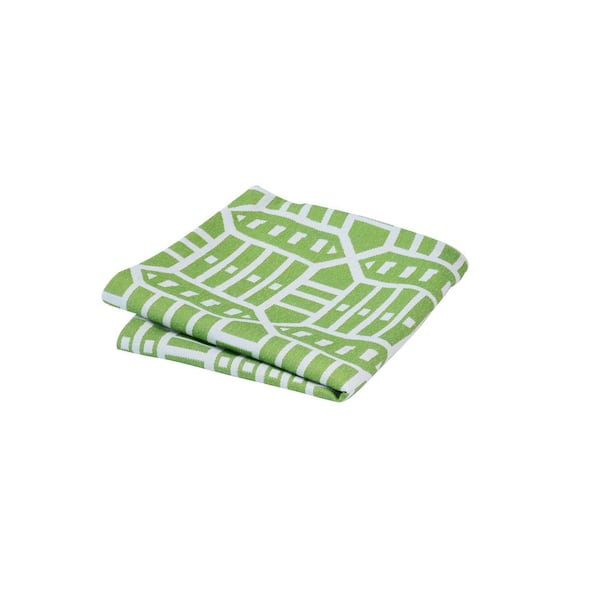Astella Pacifica 18 in. x 18 in. Roland Green Square Outdoor Throw Pillow Cover