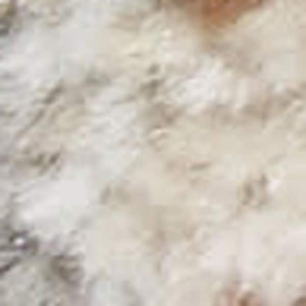 3 ft. x 5 ft. Beige and Blue Oriental Power Loom Distressed Area Rug With Fringe