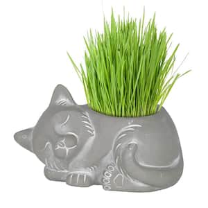 Large Natural Cement Sleeping Cat Planter