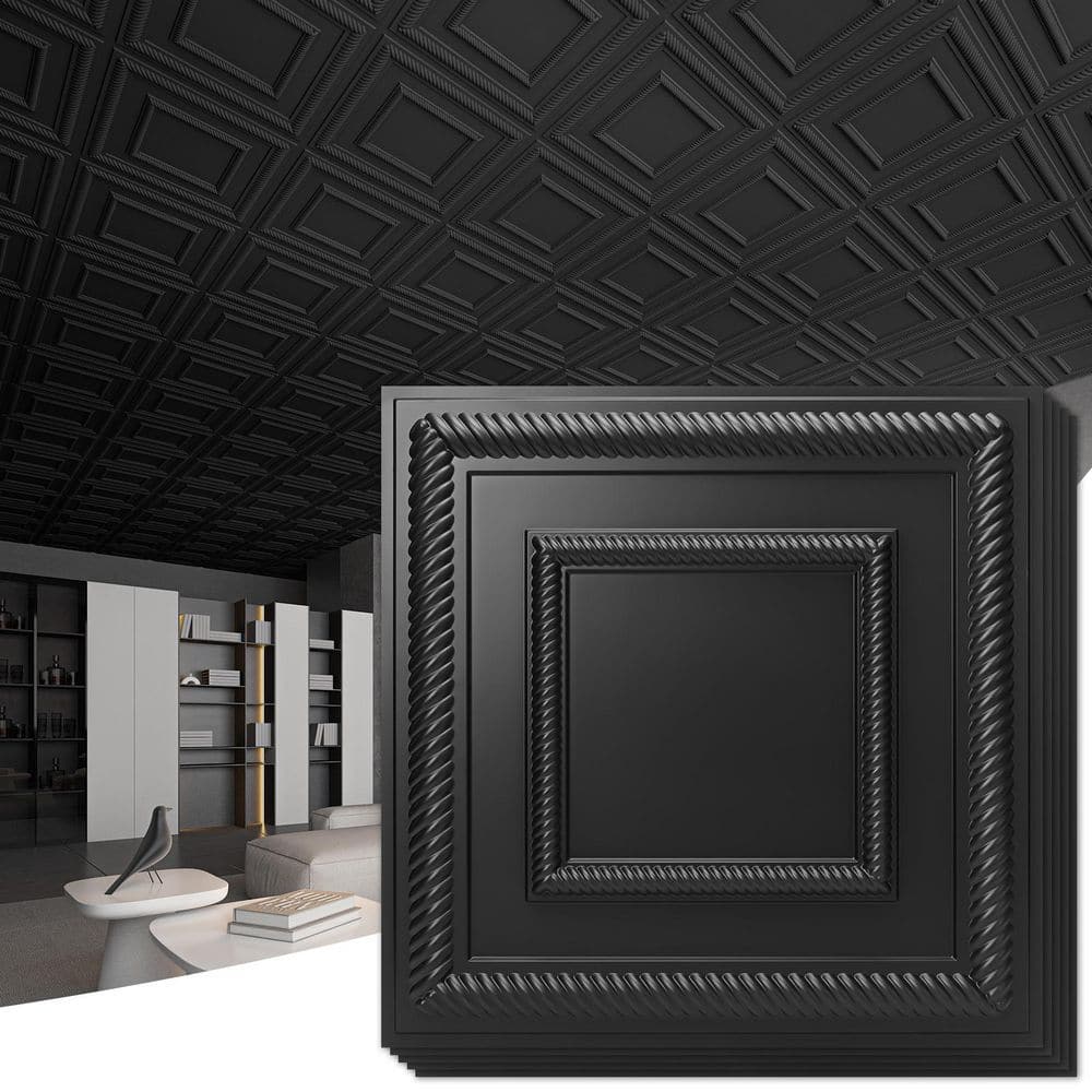Black 2 ft. x 2 ft. Decorative Drop In Ceiling Tile, PVC Lightweight Ceiling Panels to Prevent Breakage(48 sq.ft./case) price history on PriceWatchPro