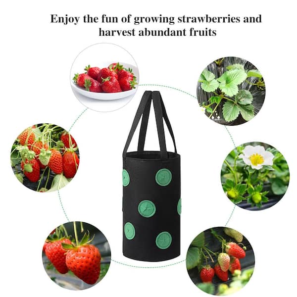 Agfabric 13.8 in. Dia x 15.7 in. H 10 Gal. Black Fabric Mount Planter Plant  Grow Bag Planter Felt Non-Woven Potato (4-Pack) GBM3540P4G10B - The Home  Depot