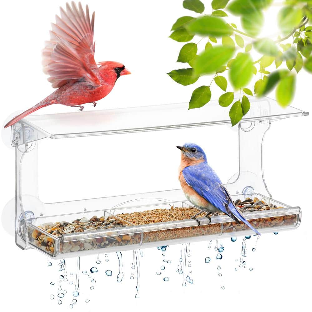 11.8 in. Window Bird Feeder with Strong Suction Cup - Suction Cup Bird  Feeder for Household Birds B094X5ZQ8L - The Home Depot