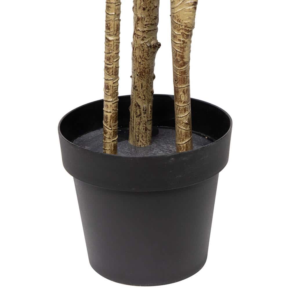 Elegant 5.5' Green Dracaena Marginata Artificial Potted Plant