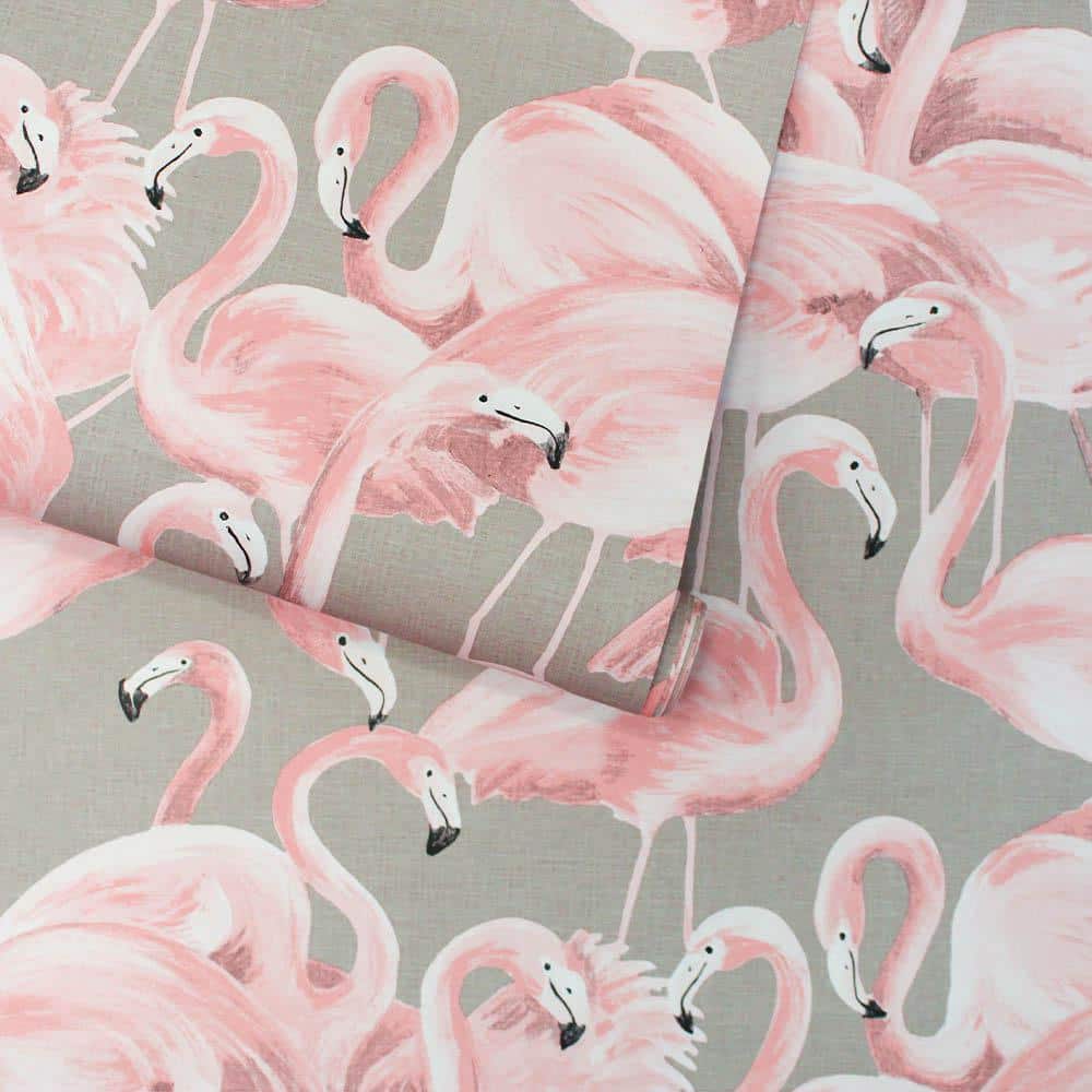 Ballerina Pink Flamingo Vinyl Peel and Stick Wallpaper Roll