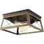 https://images.thdstatic.com/productImages/5c34d3c3-8062-4281-9454-05b8581588c8/svn/antique-bronze-progress-lighting-flush-mount-ceiling-lights-p350039-020-64_65.jpg