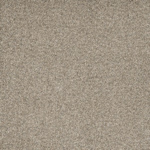 Bradmore I - Zeal - Beige 45 oz. SD Polyester Texture Installed Carpet