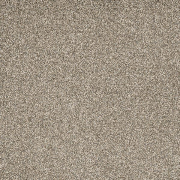 Bradmore I - Zeal - Beige 45 oz. SD Polyester Texture Installed Carpet