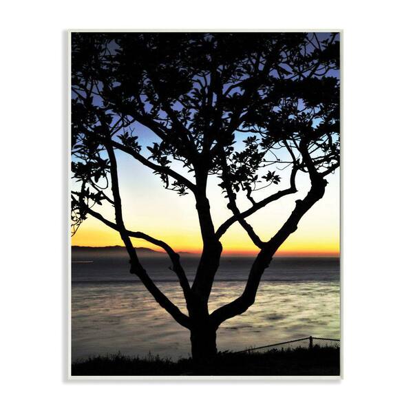 Stupell Industries "Tree Silhouette Landscape Photograph" by Joseph Elliott Wood Abstract Wall Art 15 in. x 10 in.