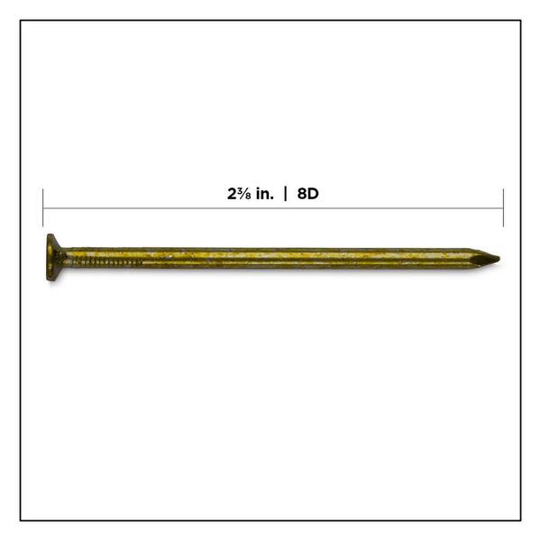 Details more than 173 brass nails lowes songngunhatanh.edu.vn